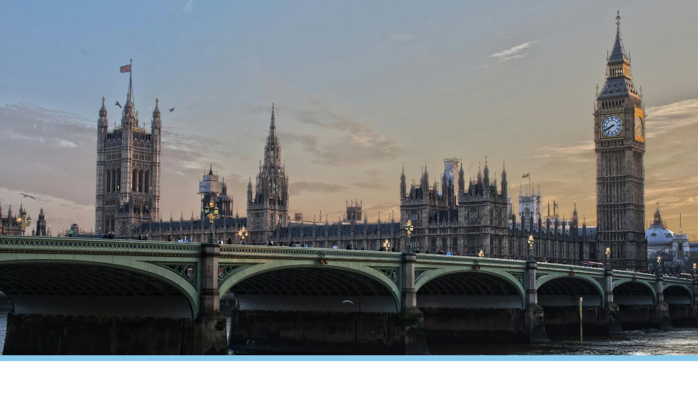 Public Sector Supplier