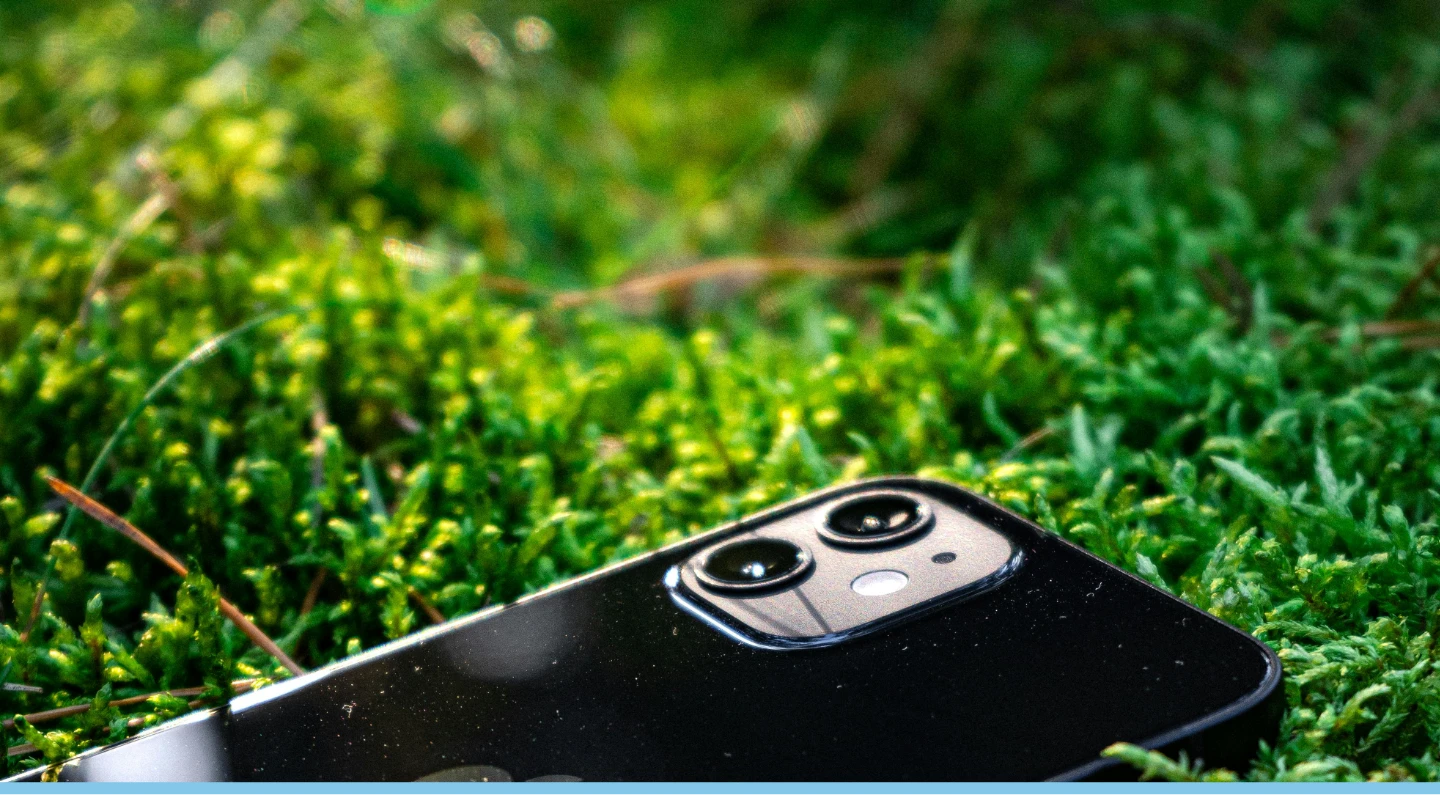 World Environment Day